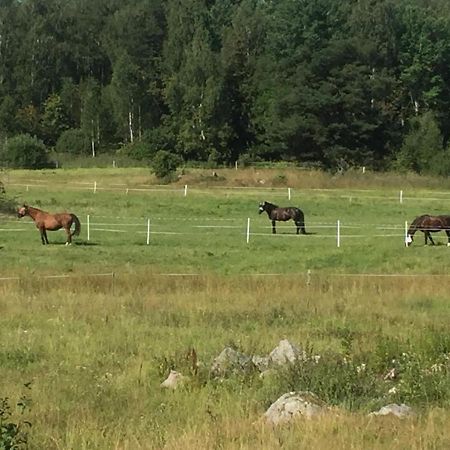 Вилла Egen Laegenhet I 2-Familjshus Pa Landet. Tierp Экстерьер фото